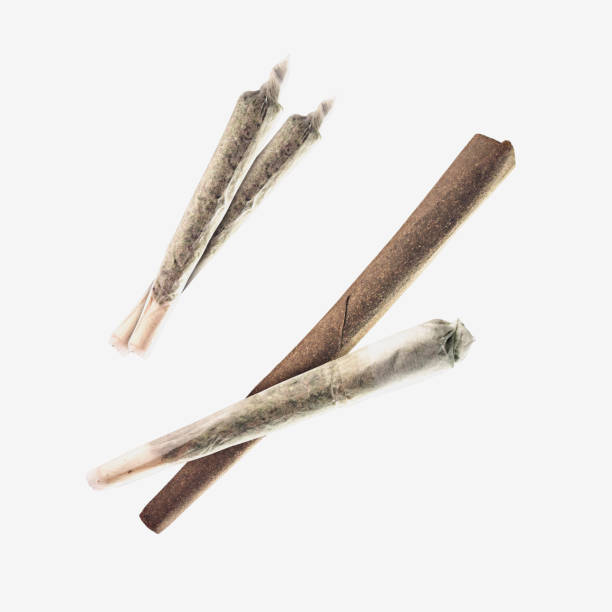Specialized Preroll Packs