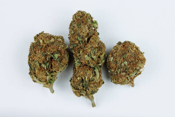 Small-Batch Limited Editions