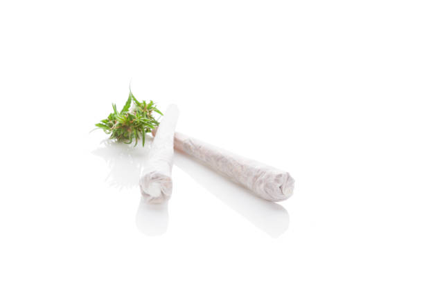 Limited Edition Seasonal Strains